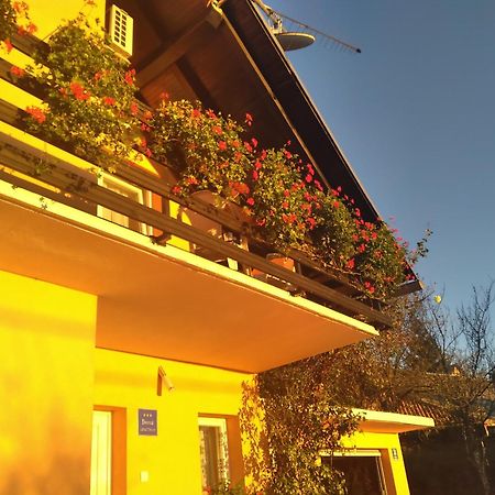House Jelena&Marija Apartman Rakovica Kültér fotó